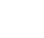 Jungle Gym